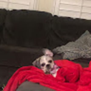 Meet your Posher, Fernanda